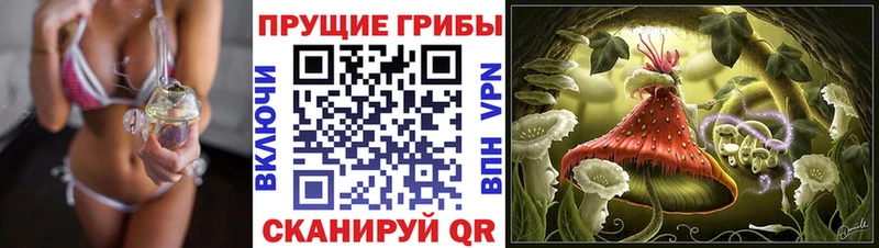 Псилоцибиновые грибы прущие грибы  где продают   hydra зеркало  Эртиль 